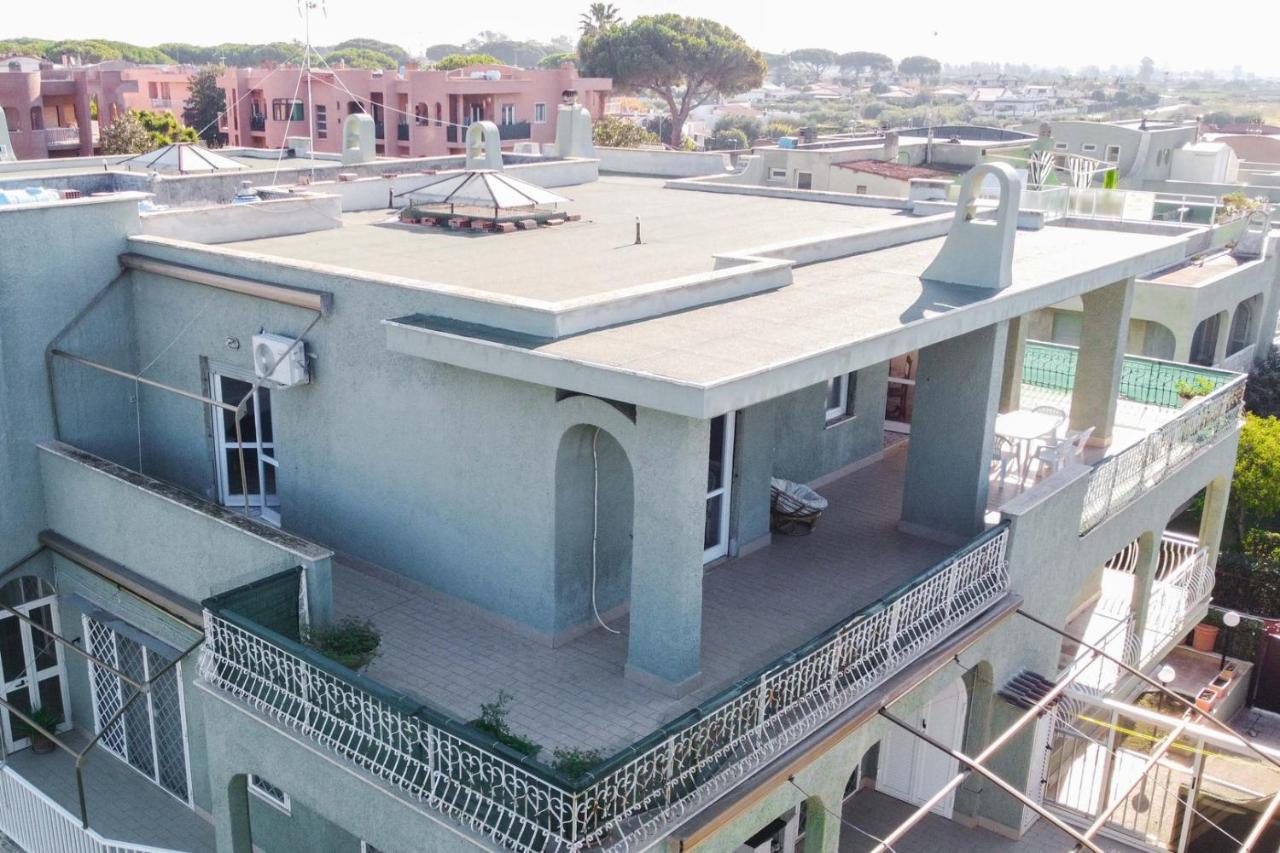 Rosa House Daire Marina di Cerveteri Dış mekan fotoğraf